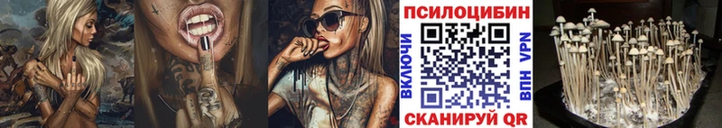 Псилоцибиновые грибы мицелий  Заволжск 